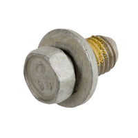 Genuine General Motors OE Bolt 11516869
