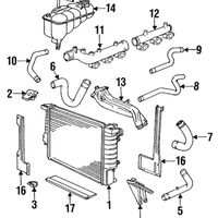 New Genuine BMW Water Hose (1991-1993) OE 11531312684