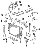 New Genuine BMW Water Hose (1991-1993) OE 11531312684