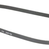 Genuine Nissan Engine Drive Belt Serpentine Compressor (2000-2007) OE 11920AG900