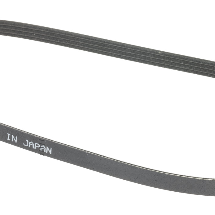 Genuine Nissan Engine Drive Belt Serpentine Compressor (2000-2007) OE 11920AG900
