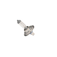 Genuine General Motors OE Bulb 13586976