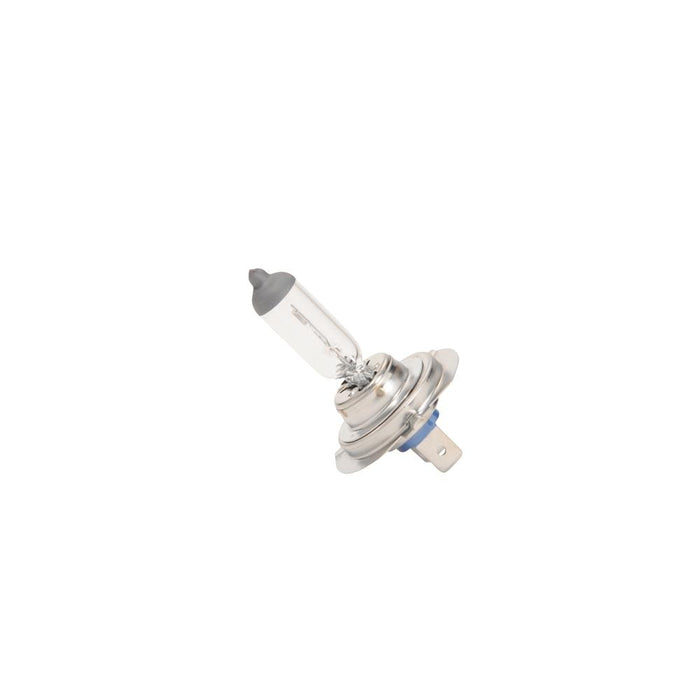 Genuine General Motors OE Bulb 13586976