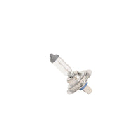 Genuine General Motors OE Bulb 13586976