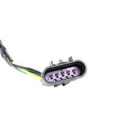 New Genuine Chevy Malibu Headlight Lamp Wiring Harness (2008-2012) OE 15930264