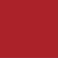 Genuine General Motors OE Paint 19367828