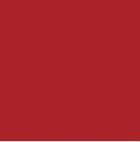 Genuine General Motors OE Paint 19367828