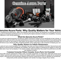 Genuine Acura OE Rubber, Fr. (Lower) 51684-TY2-A01