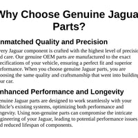 Genuine Jaguar OE Kit-Mudflap C2S4500