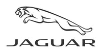 Genuine Jaguar OE Clip T4N6065