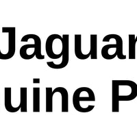 Genuine Jaguar OE Clip T4N6065