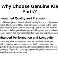 New Genuine Kia Engine Water Pump Gasket Seal (2012-2024) OE 251242E000