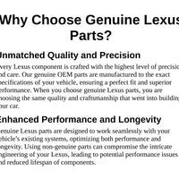 Genuine Lexus OE Rear Bmper Valance 52169-60170