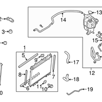 New Genuine Nissan Drain Plug Gasket Seal OE 2148118000