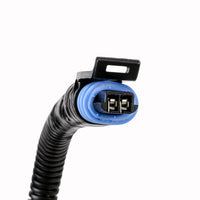 Genuine General Motors OE Wire 22863502