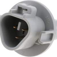 New Genuine Nissan Socket Assy 262439B91A / 26243-9B91A OEM