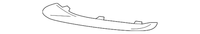 New Genuine BMW Trim On Grille Side Left (2015-2019) OE 51117343259