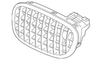 New Genuine BMW Grille Front Right (2010-2013) OE 51137203206
