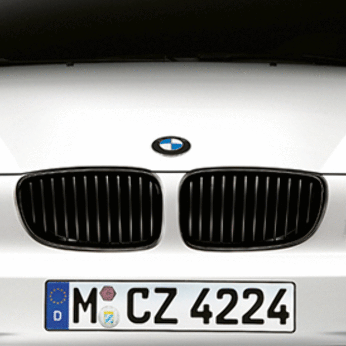 New Genuine BMW Front Trim Grille Black Rig (2009-2013) OE 51712155450