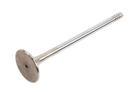 Genuine General Motors OE Valve 55565339