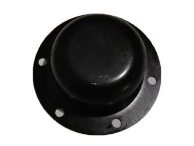 New Genuine Ford Cap Grease (2008-2019) OE F3HZ-1131-A