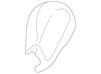 New Genuine BMW Wiper Arm Cover (2000-2002) OE 61628256120