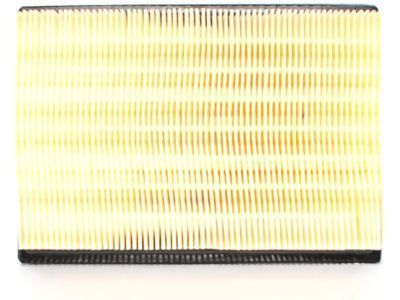 New Genuine Ford Element Assy Air Cleaner (2000-2007) OE YF1Z-9601-AA