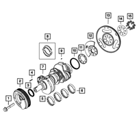 New Genuine Mopar Flex Plate Bolt (2012-2023) OE 68161231AA