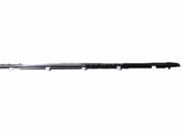 Genuine Acura TSX Front Door Window Weatherstrip Belt Molding Left OE 72375TL0G0