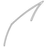 New Genuine Nissan Altima Front Door Glass Run Rubber Seal Left (2019-2023) OE
