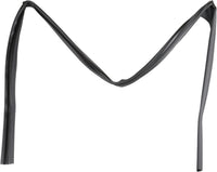 New Genuine Nissan Altima Front Door Glass Run Rubber Seal Left (2019-2023) OE