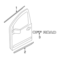New Genuine Nissan Front Door Belt Molding Outer Right (2004-2015) OE 80820ZC30A