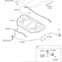 New Genuine Kia Cadenza Hood Lift Suppoer Lifter Left OE 811613R050DS