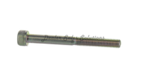New Genuine Honda Flange Bolt 90121S1AG01 OEM