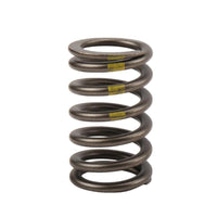 Genuine General Motors OE Spring 90537032