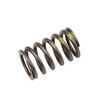 Genuine General Motors OE Spring 90537032