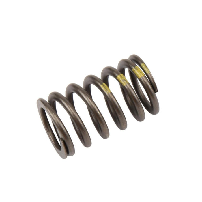 Genuine General Motors OE Spring 90537032