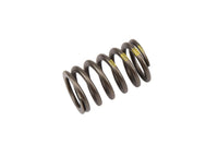Genuine General Motors OE Spring 90537032