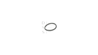 (x2) New Genuine Honda O-Ring (13X1-5) 91319-PAA-A01