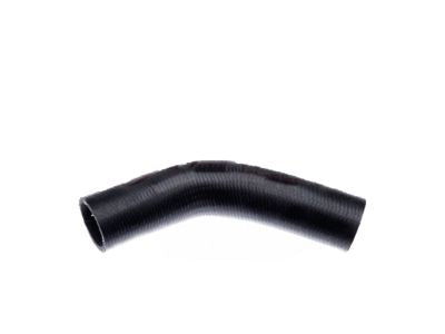 New Genuine Ford Hose Assembly (1997-2001) OE F77Z-8K507-AA