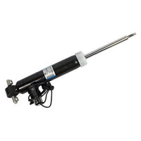 Genuine Ford OE Shock Absorber Asy ASH-24651
