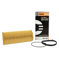 Genuine Ford Engine Oil Filter Element Gasket Kit OE QFL201