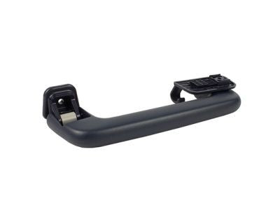 Genuine Lincoln Grip Handle Assist Grab Interior (2017-2019) OE DS7Z5831406BE