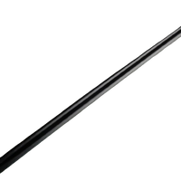 Genuine Acura TL Rear Door Inner Belt Weatherstrip Left (2004-2008) 72875SEPA01