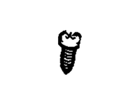 New Genuine Ford Screw (2013-2016) OE W705247-S424