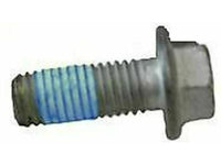 Genuine Ford Backing Plate Splash Shield Bolt Set (x2) (1997-2009) W710862S439